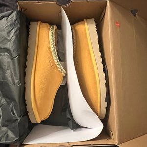 UGG TASMAN SLIPPER limited edition pair